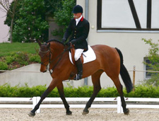 Germany-Black Forest-Castle Sindlingen Equestrian